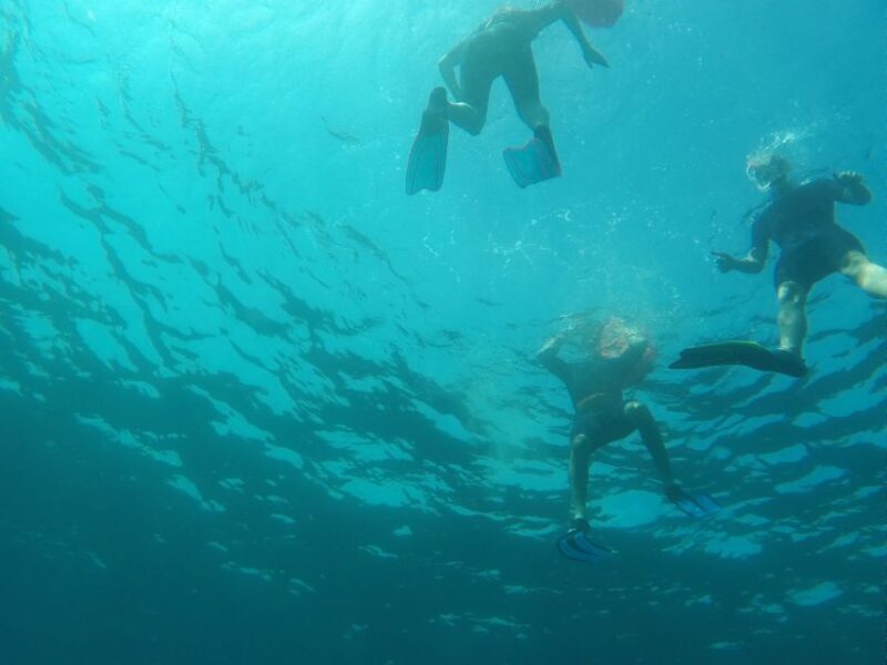 Marseille: Snorkeling immersive experience with picnic - Final Thoughts
