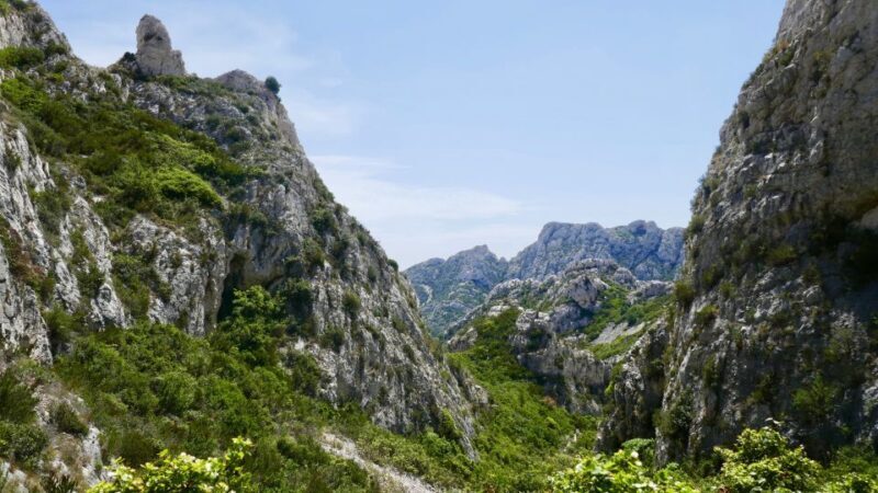 Marseille: Sormiou Calanque Half-Day Hiking Tour w/Swimming - The Guide and the Group Dynamic