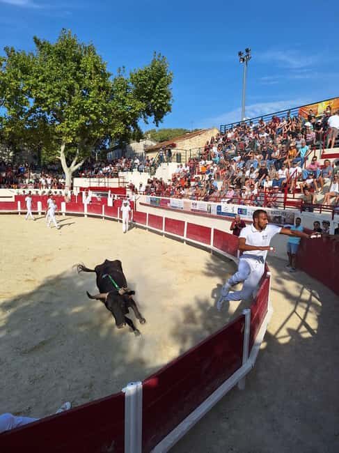 Marseille: The Camargue 8-Hour Guided Outing - Who Should Consider This Tour?