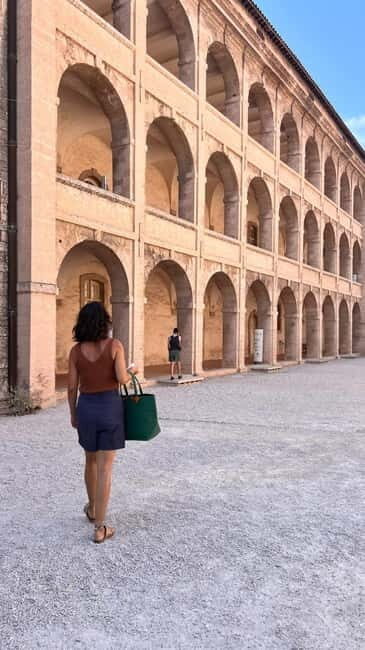 Marseille tour - the language of Mediterranean food - What You’ll Taste and Experience