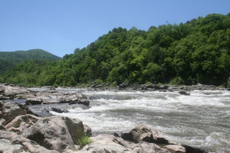 Marshall: French Broad Whitewater River Rafting Experience - The Experience from Others’ Perspectives
