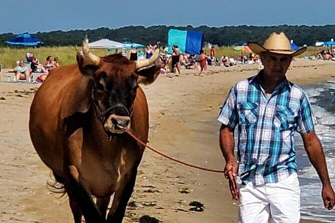 Martha Vineyard Bus Tour - Key Points