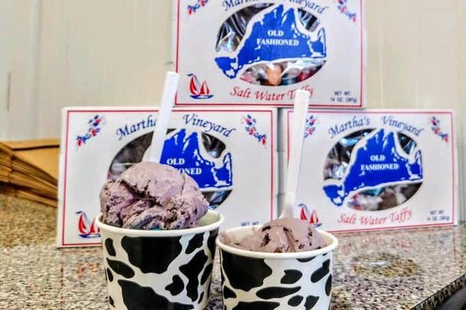 Martha's Vineyard Day Trip with Optional Island Tour from Boston - The Experience: What Travelers Say