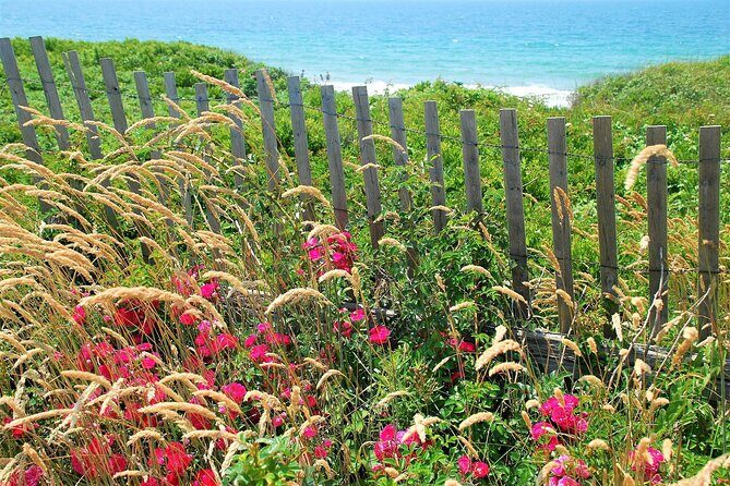 Martha's Vineyard Daytrip from Boston with Round-Trip Ferry & Island Tour Option - Final Thoughts