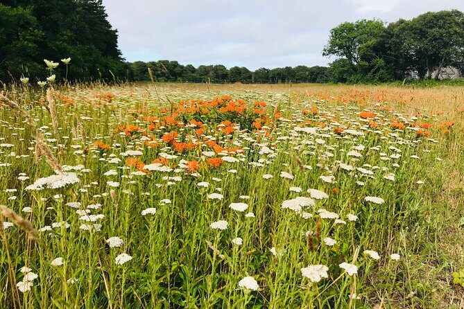 Marthas Vineyard Luxury Tour (2hrs) - Frequently Asked Questions