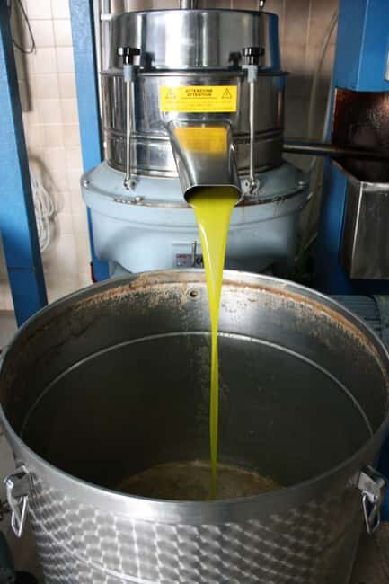 Martina Franca: Olive Oil Mill Tour & Tasting Experience - Room for Improvement