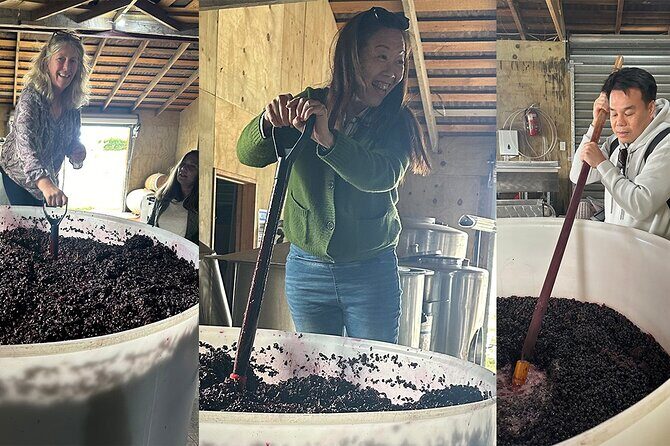 Martinborough Chefs shared wine tour lunch from Wellington - Key Points