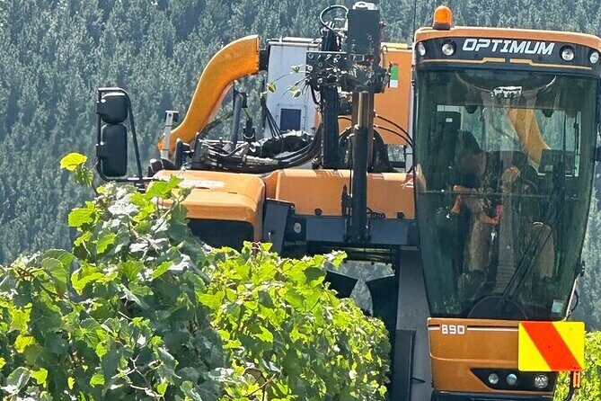 Martinborough Chefs shared wine tour lunch from Wellington - Who Is This Tour Best For?