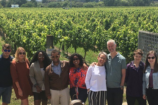 Martinborough Foodie Half Day Tour from Wellington - The Itinerary in Detail: What You Can Expect