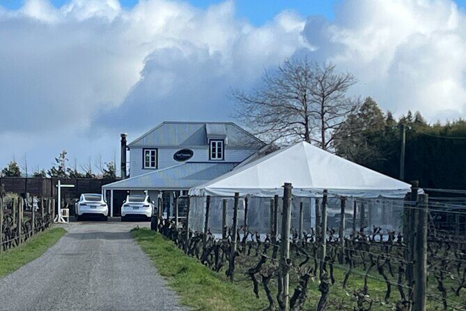 Martinborough Private Food and Wine Tour in Tesla SUV - Key Points