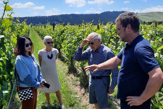 Martinborough Winery and Foodie Day Tour with vineyard lunch - Key Points