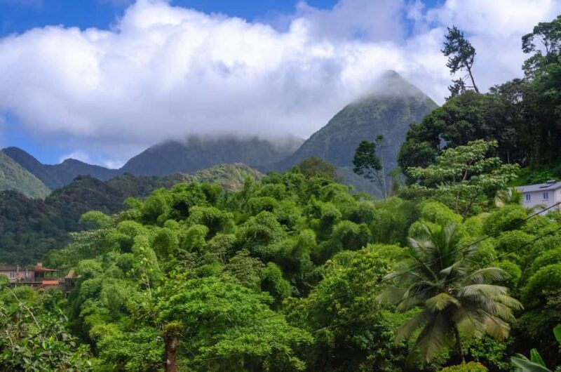 Martinique: Private Customizable Tour with Transfer - Key Points