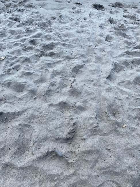 Martinique: Private Tour with Local Guide - The Practicalities: How the Tour Works