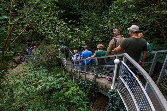 Martvili canyon & Prometheus Cave group tour from Tbilisi - FAQ