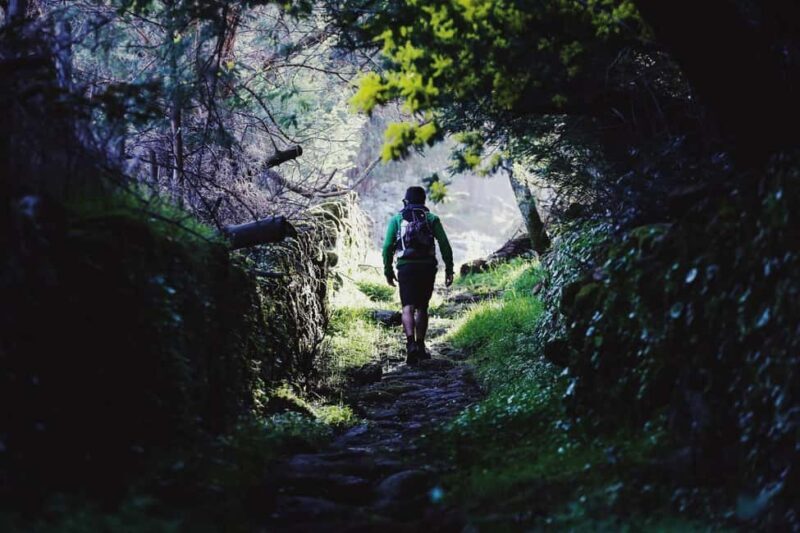 Marvão: Smuggling Trail Guided Hike with Olive Oil Tasting - What Makes This Tour Special
