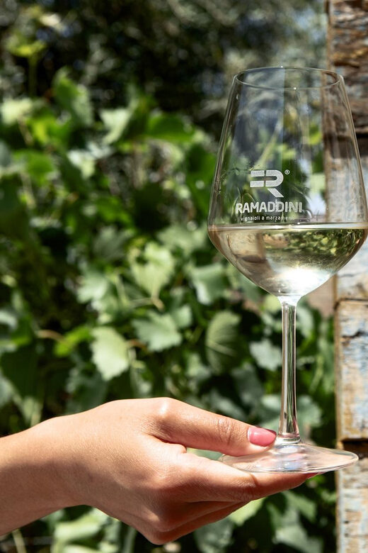Marzamemi: FR Lovers Wine Tasting & Tour at Ramaddini - Who Should Consider This Tour?