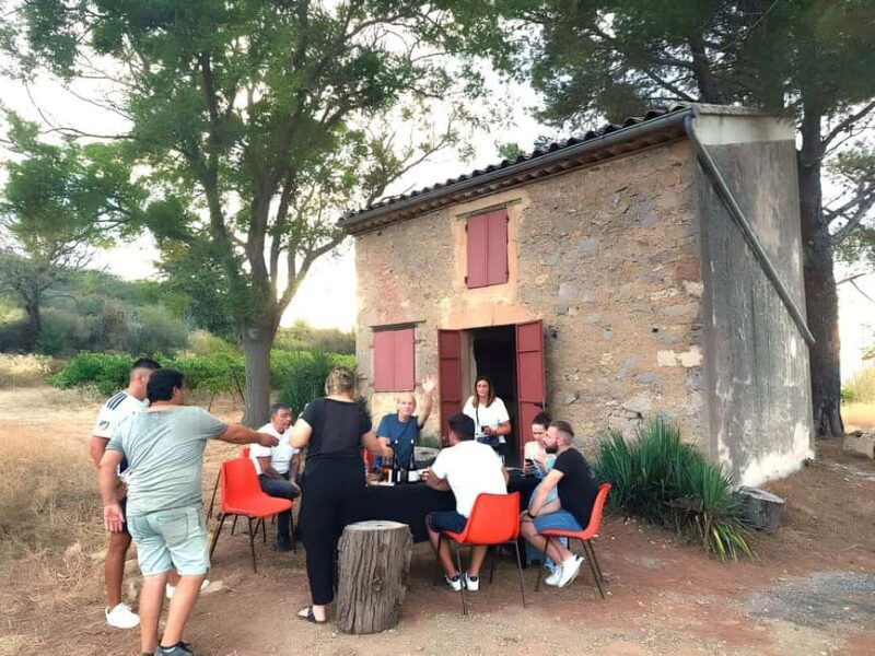 Mas Farchat: Wine tasting and tapas in the heart of nature - Final Thoughts