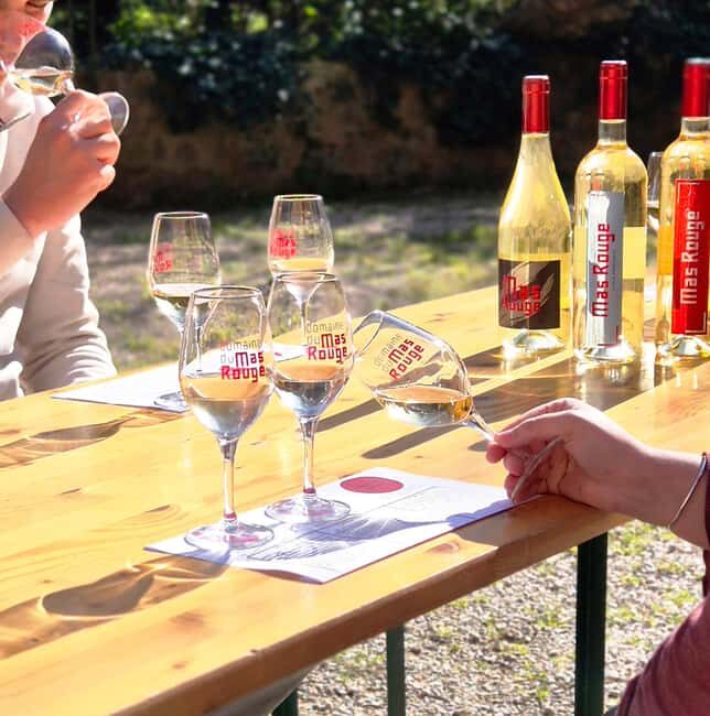 Mas Rouge: Tour and Tasting of Muscat near Montpellier - The Practicalities