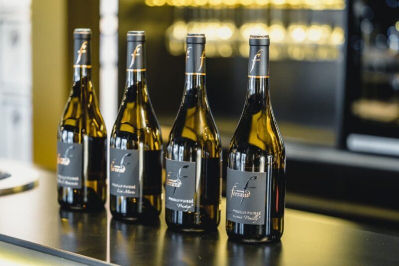 Mason: Visit and Tasting of the Estate's Wines - The Possible Downsides