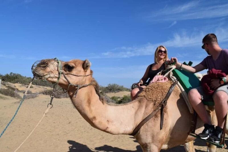 Maspalomas: Guided Camel Ride in the Maspalomas Sand Dunes - An Honest Look at the Camel Ride Experience