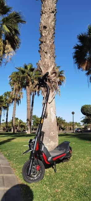 Maspalomas & Playa del Ingles: Guided Electric Segway Tour - Final Thoughts