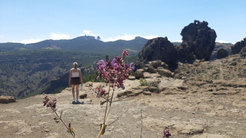 Maspalomas: Roque Nublo - hiking on volcanoes by Sky Rebels - FAQ