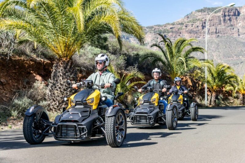 Maspalomas: Ryker Moto Tour to Fataga (Mountain buggy) - Aloe Vera Plantation Visit