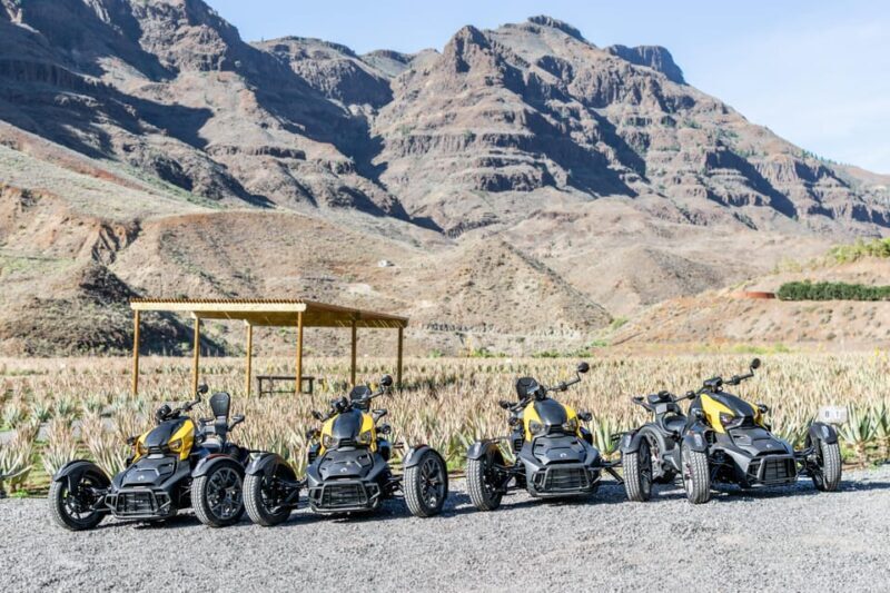 Maspalomas: Ryker Moto Tour to Fataga (Mountain buggy) - Who Should Consider This Tour?