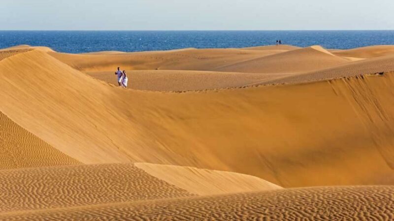 Maspalomas: Southern Coast E-Bike Tour Option Tapas Tasting - An In-Depth Look at the Tour