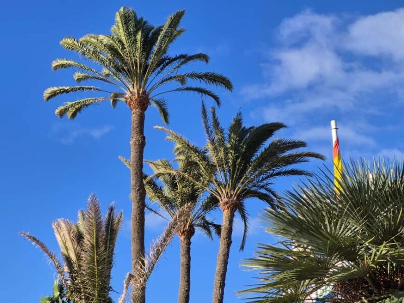 Maspalomas: Sunset Walking Tour with Lighthouse Views - Key Points