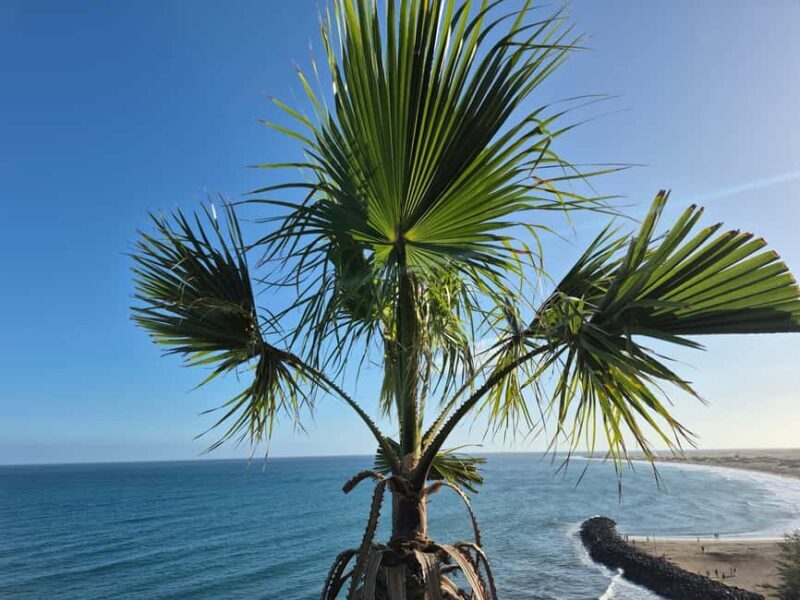 Maspalomas: Sunset Walking Tour with Lighthouse Views - The Practical Details