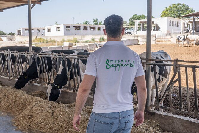 Masseria Seppunisi Tour - Mozzarella and Burrata experience - Final Thoughts