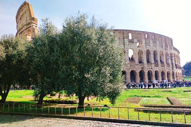 Masterclass Extra Virgin Olive Oil and Table Olives in Rome - FAQ