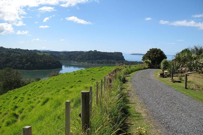 Matakana Scenic Coastal Getaway from Auckland - An Overview of What to Expect