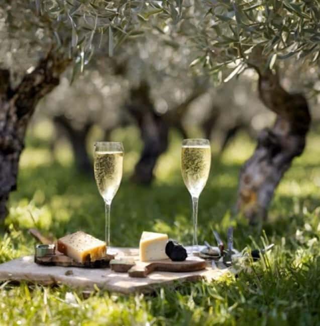 Matera: Aperitif Truffles and Champagne under the olive tree - Is This Tour Worth It?