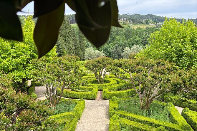 Mateus Palace, History, Art and Douro Wines - Key Points