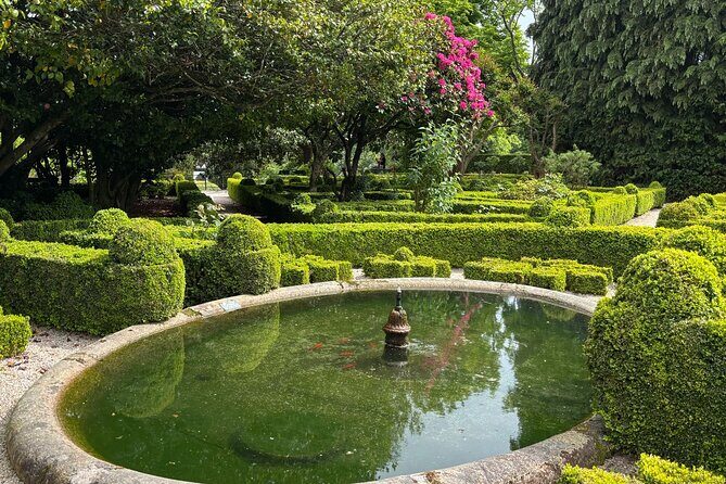 Mateus Palace, History, Art and Douro Wines - Is This Tour Worth It?