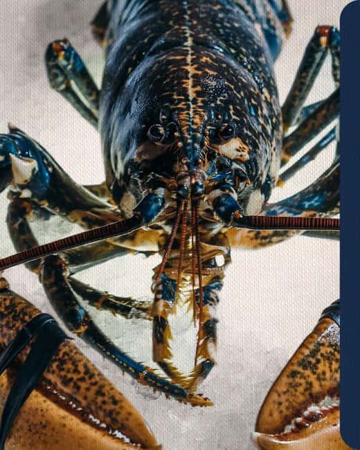 Matosinhos: A Gastronomic Experience at a Luxury Seafood Restaurant. - Final Thoughts: Is It Worth It?