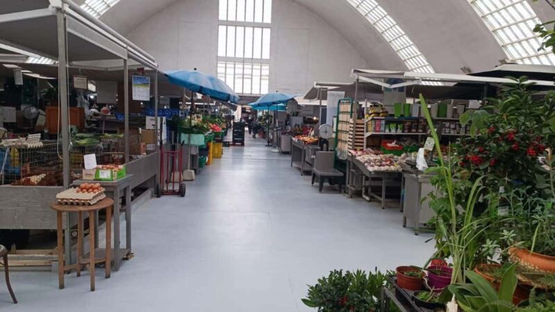 Matosinhos: Have lunch with fresh fish you choose at the market - The Setting: Matosinhos Market