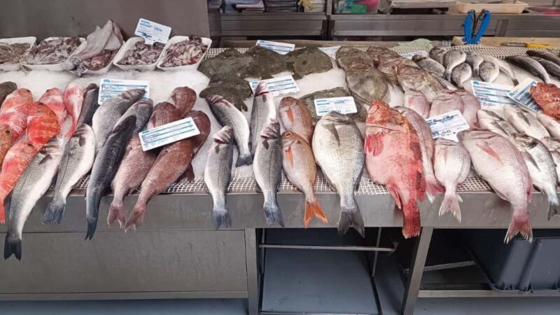 Matosinhos: Have lunch with fresh fish you choose at the market - Value for Money