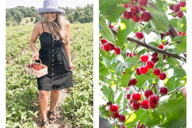 Mattituck Bike Wine Country and Fruit Orchard Tour - The Itinerary: A Closer Look