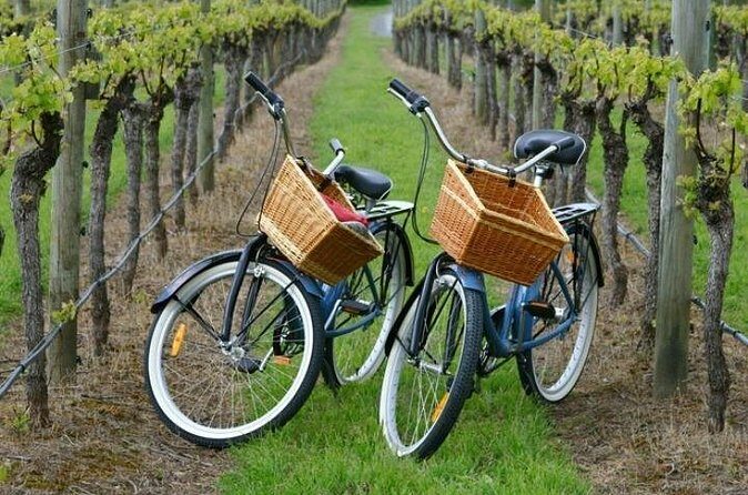 Mattituck New York Guided Farm and Wine Country Bike Tour - Why People Love It