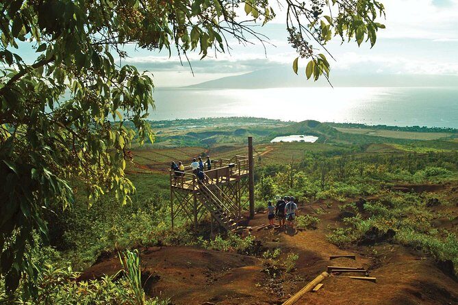 Maui 8 line Zipline Adventure: Soar above valleys & Island views - Key Points