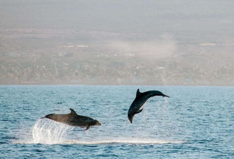Maui: Afternoon Catamaran Sail w/ Local Culture & Cocktails - FAQs