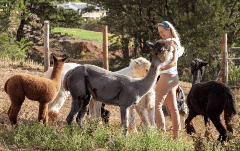 Maui: Alpaca Farm Visit with Hands-On Activities - FAQ