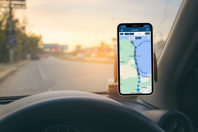 Maui Beach Parks Self-Guided Driving Tour - What Is the Maui Beach Parks Self-Guided Driving Tour?