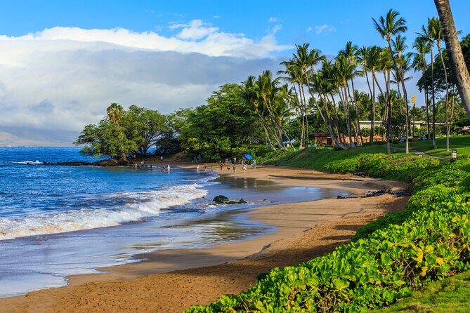Maui Beach Parks Self-Guided Driving Tour - Who Should Consider This Tour?