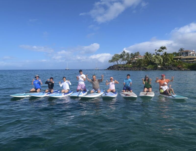 Maui: Beginner Level Private Stand-Up Paddleboard Lesson - What the Tour Offers