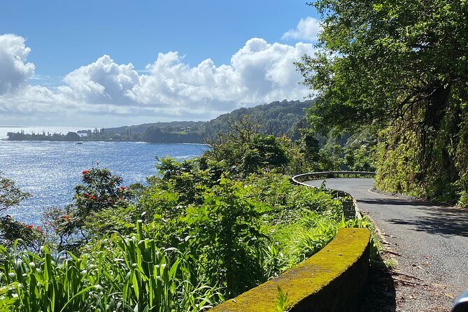 Maui by Storm: Epic Private Luxury Road to Hana Adventure Tour - Final Thoughts