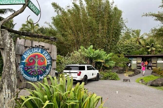 Maui by Storm: Epic Private Luxury Road to Hana Adventure Tour - FAQs